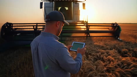 farmer using a tablet in a wheat field with a combine harvester at sunset