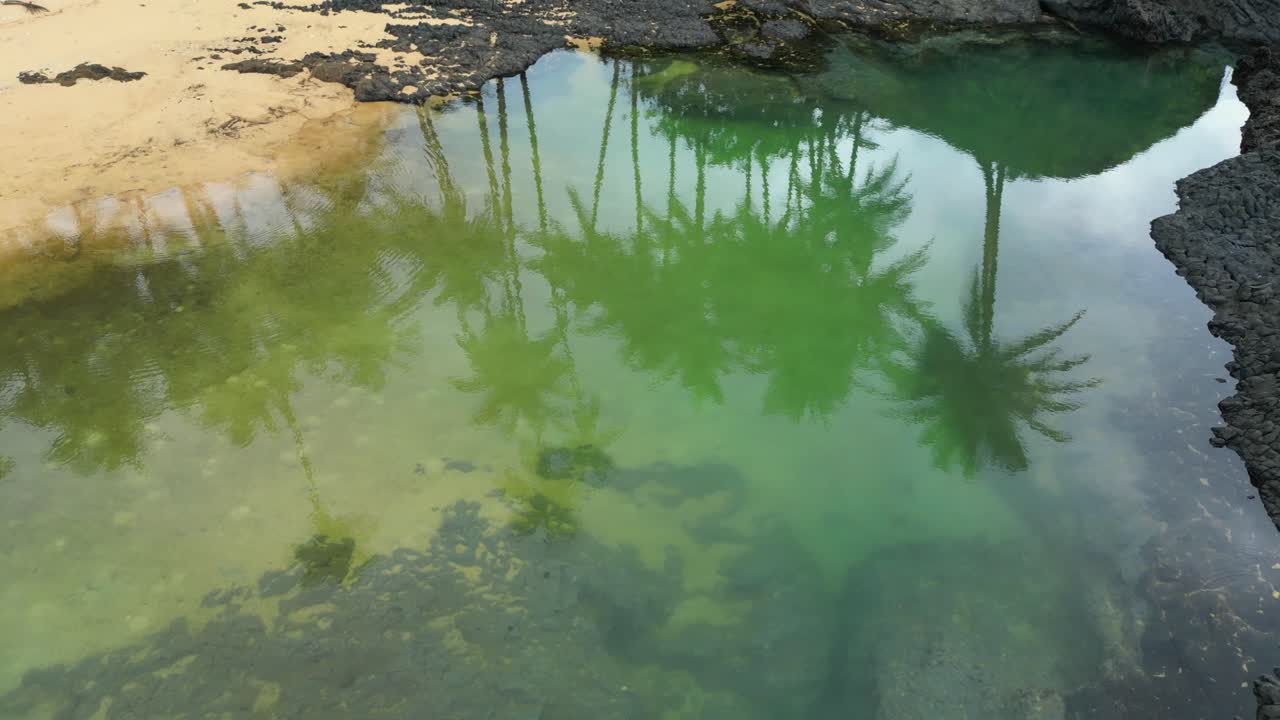 Vista circolare dalle ombre delle palme al mare