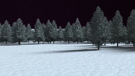 animation of winter scenery with snow and fir trees on black background