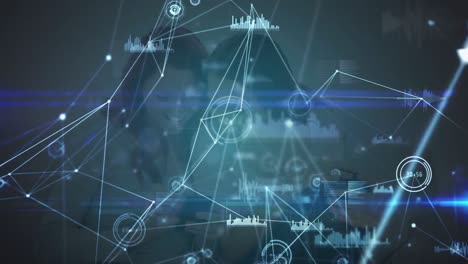 animación de la red de conexiones a través del procesamiento de datos