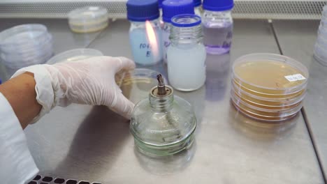 procedimiento de esterilización de laboratorio