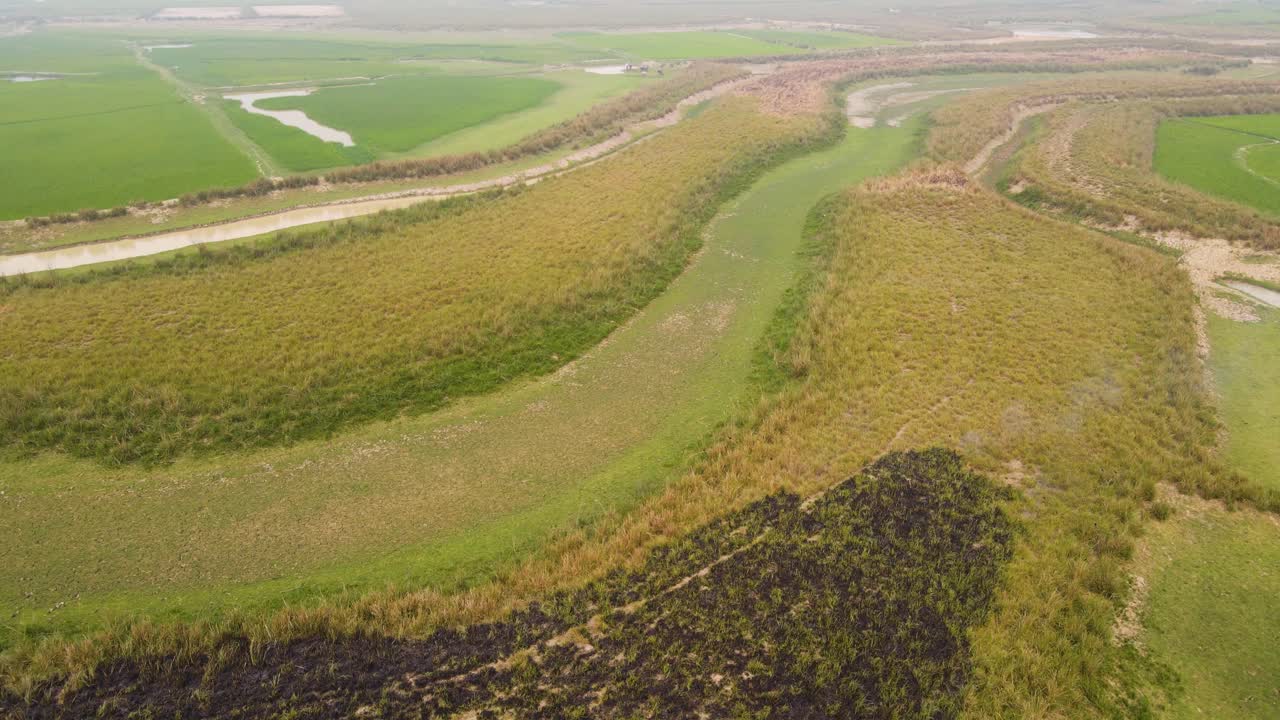 tierras de cultivo arroz quemando negro, paisaje agrícola, vuelo aéreo pasado rápido