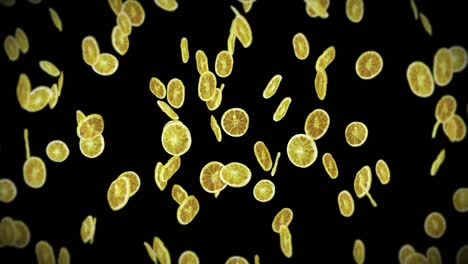 flying many dried lemons on black background. dehydrated fruits, food concept. 3d animation of sliced fruits lemons rotating. loop animation.