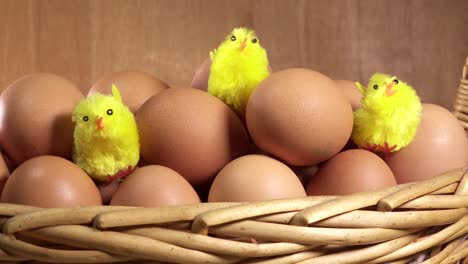 toy chickens sit between eggs