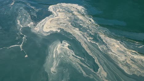 Aerial-view-of-coral-spawning-or-algae-like-growth-in-calm-lake-water