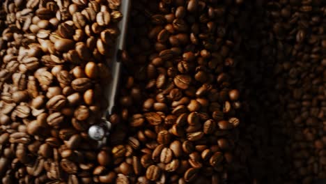 granos de café tostados