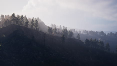 Majestic-green-mountain-forest-on-fog-background