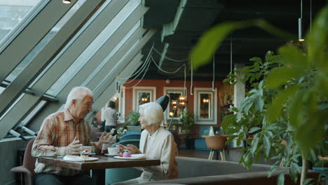 elderly couple enjoying a meal at a modern cafe