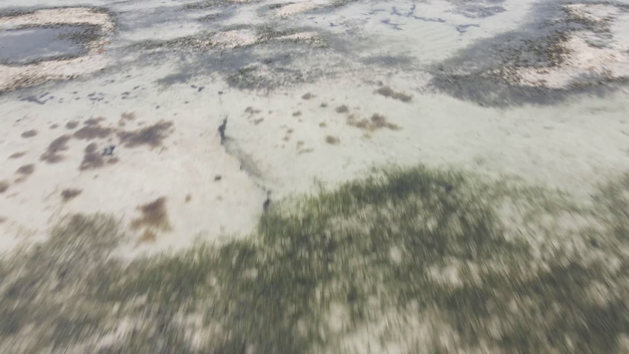 disparo de drones volando rápido y bajo sobre la costa y el océano en el este de áfrica