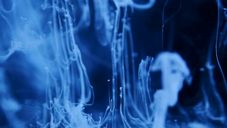 shot of ink moves. cosmic abstraction of a light blue particle ink. macro