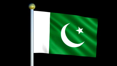 gran bandera animada en bucle de pakistán