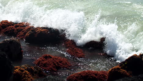 huge waves crashes over orange mossy rock in slow motion