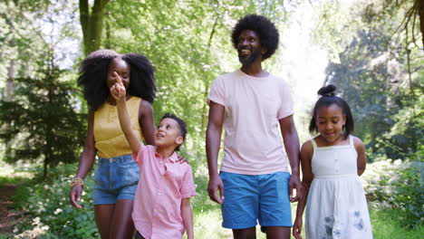 una pareja negra y sus dos hijos caminando en un bosque