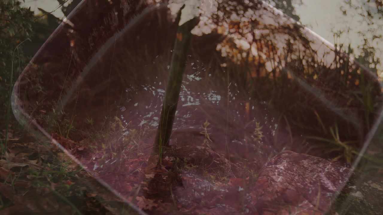 Abstract animation overlaying tree trunk and foliage with forest reflections