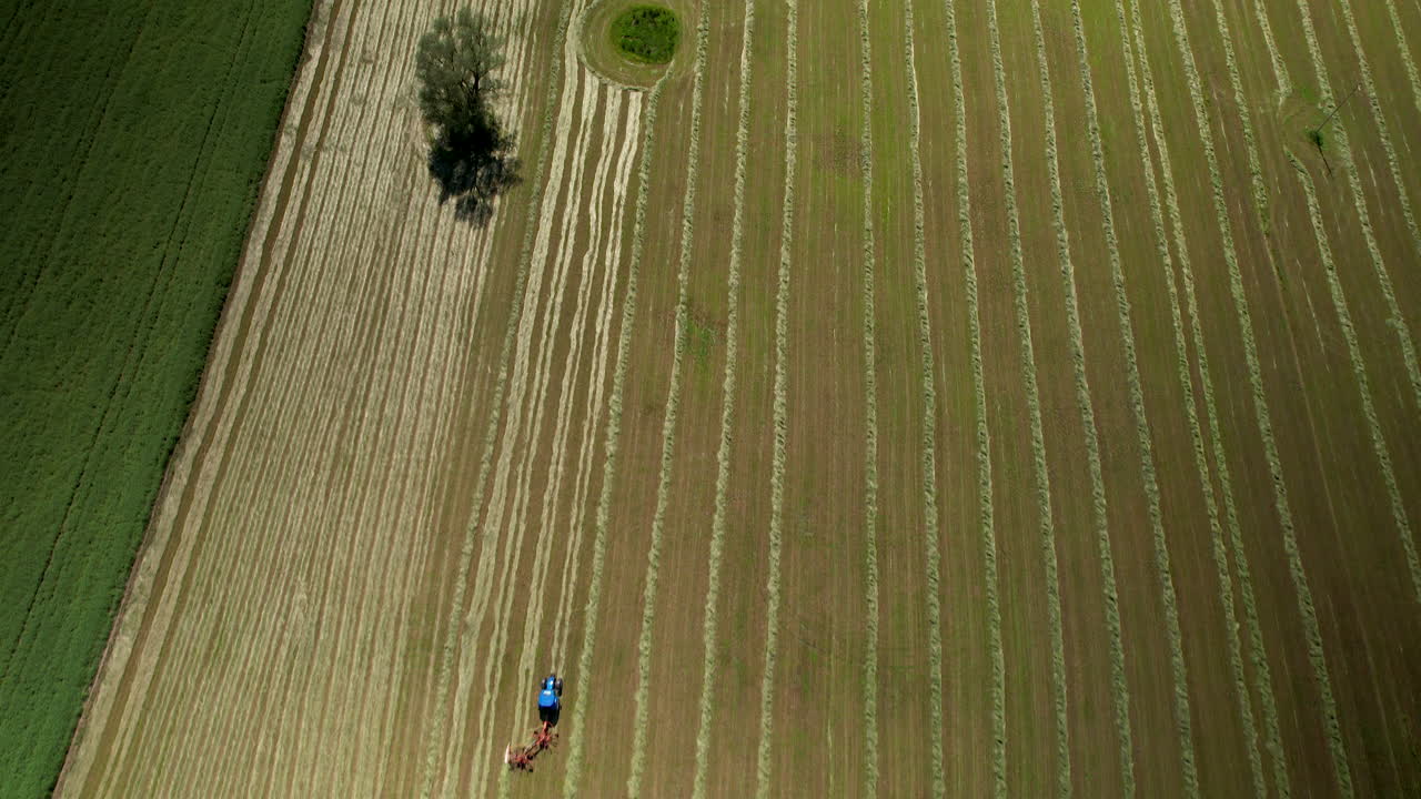 vista aérea superior de un tractor arando el campo agrícola