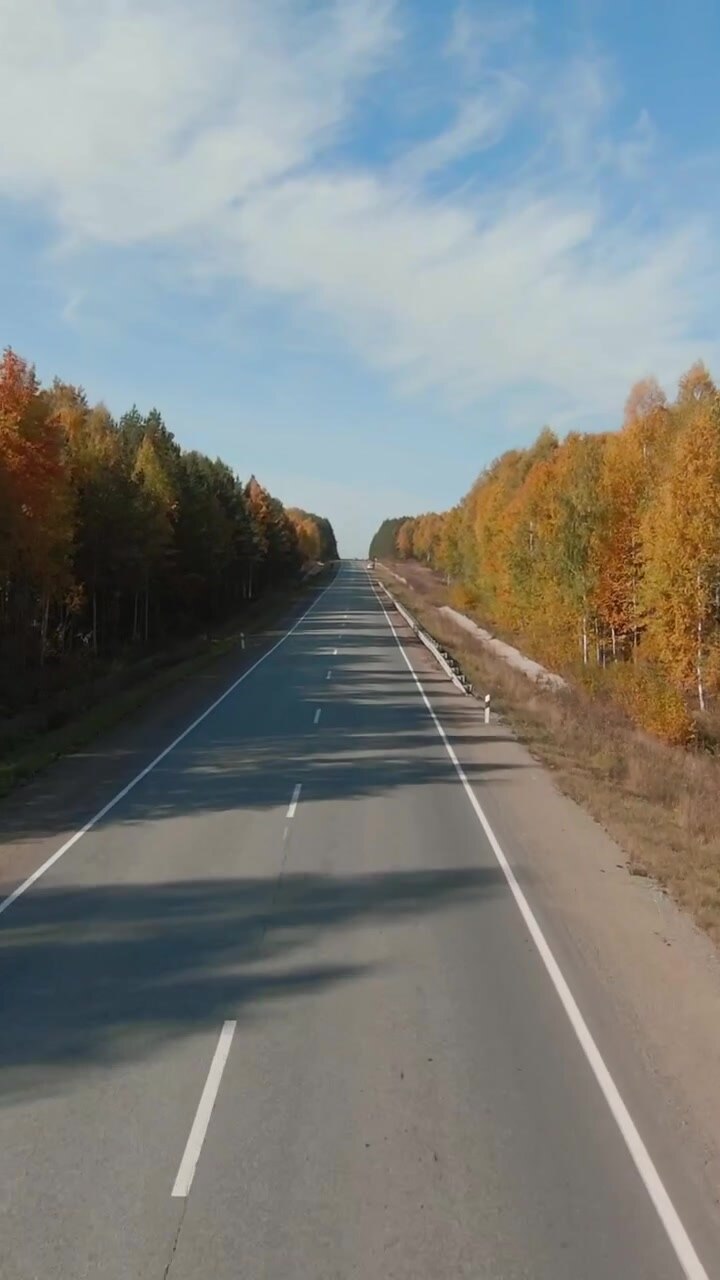Filmato drone di una lunga strada asfaltata vuota che si estende fino all'orizzonte, circondata da alberi autunnali colorati e cielo sereno, concetto di viaggio e trasporto.