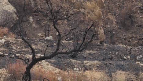 fairview fire aftermath mountain landscape en hemet, california, estados unidos, septiembre de 2022