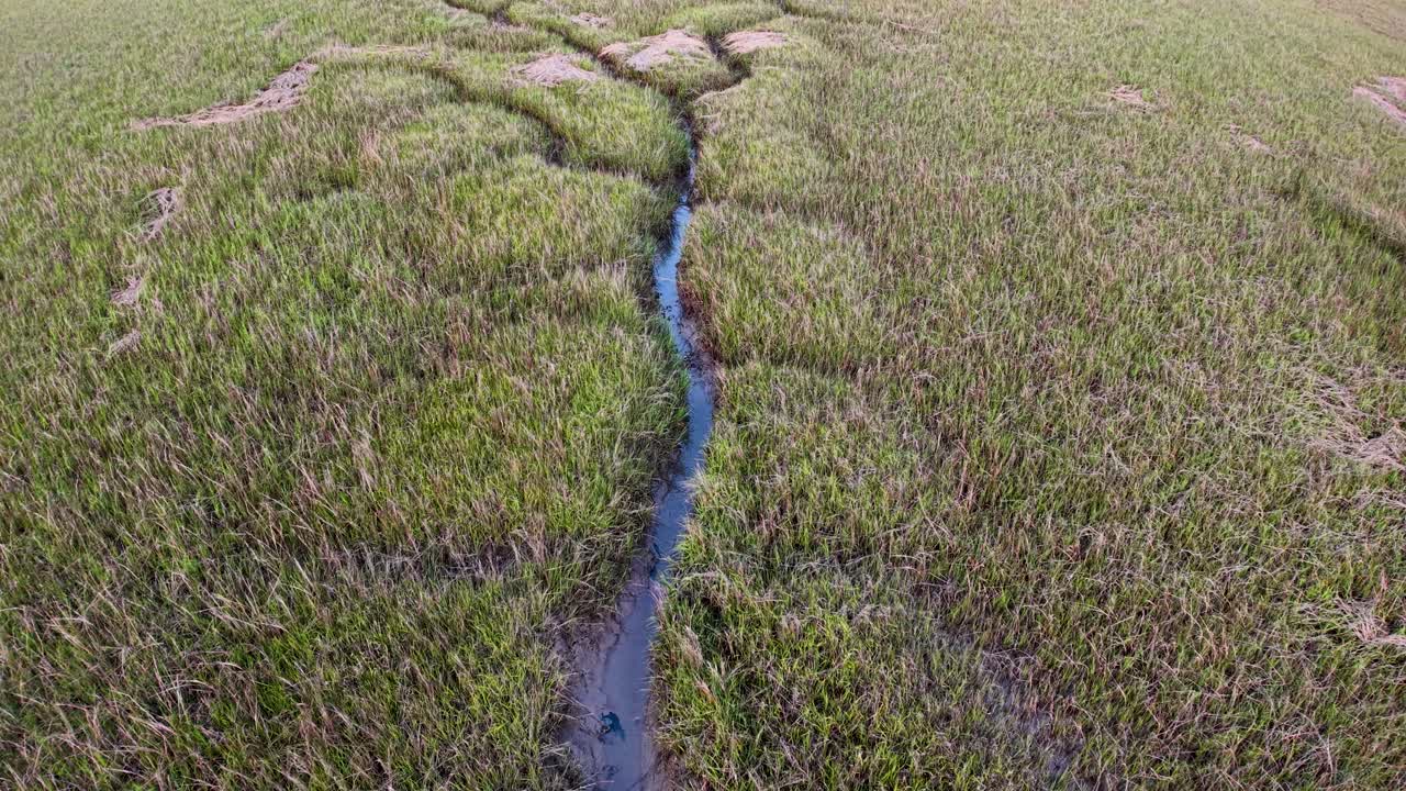 Aerial drone footage shows a winding creek cutting through a verdant marsh in the Charleston wetlands, revealing natural channels and tidal patterns