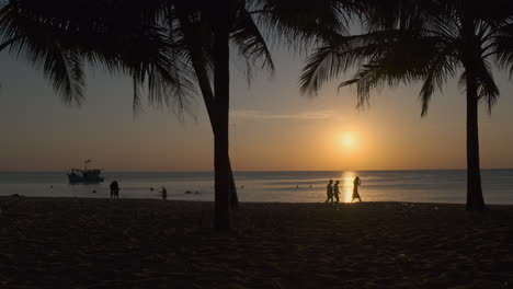 escena de la playa al atardecer con palmeras