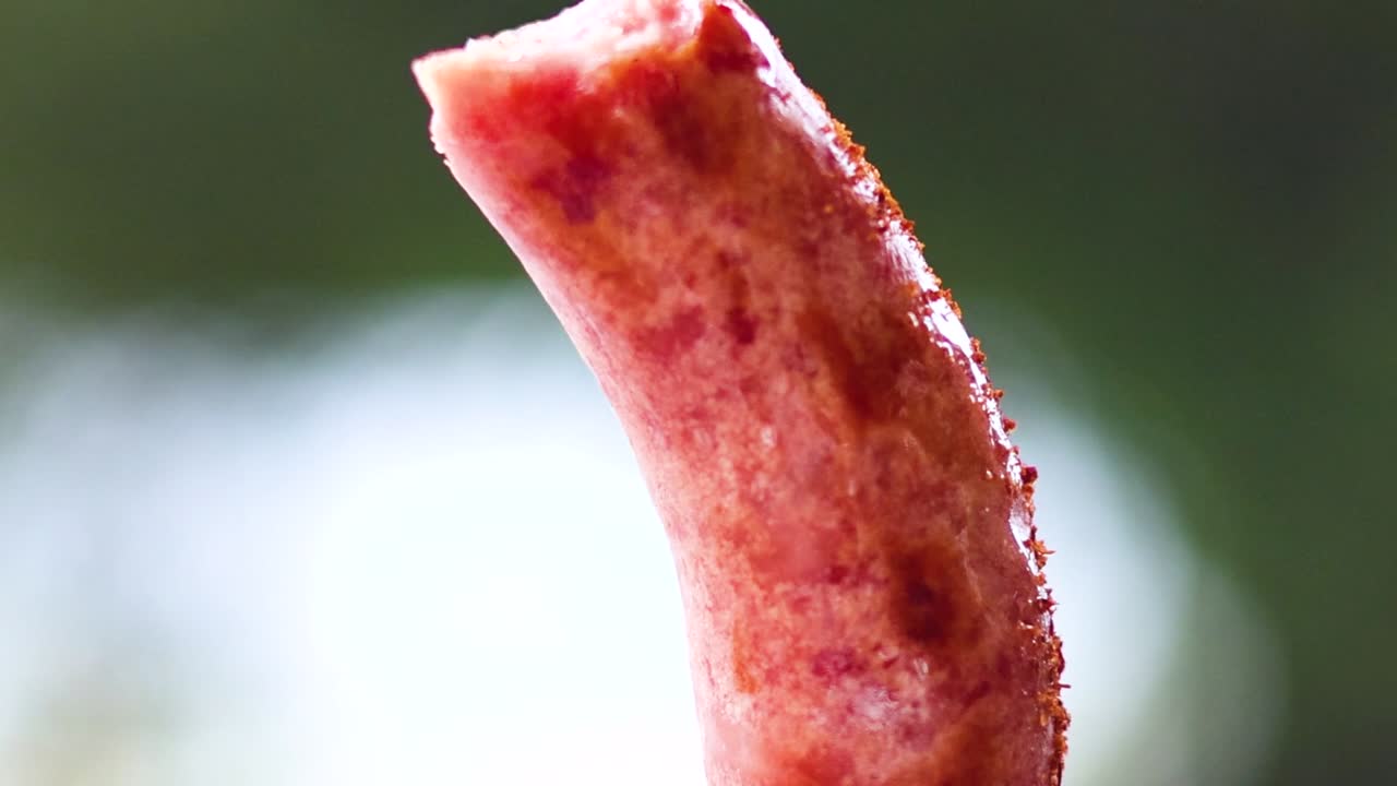 Close-up of a Grilled Sausage