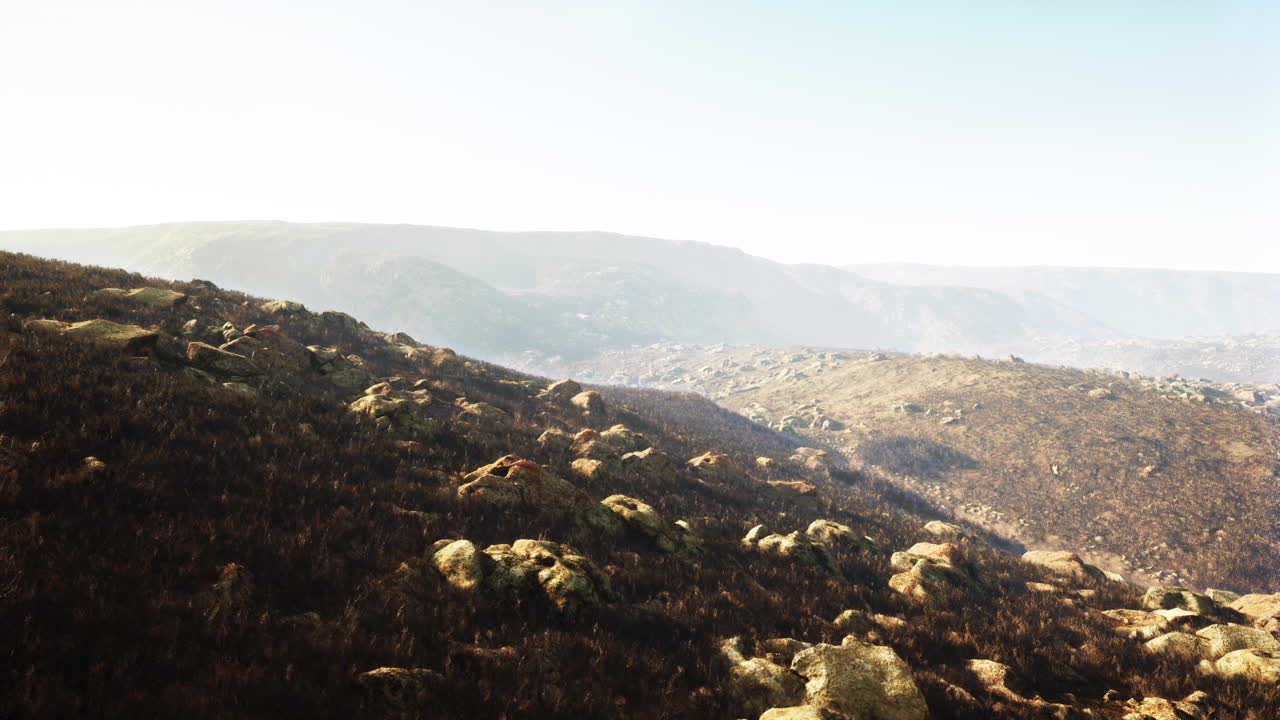 불타버린 산지 풍경 의 공중 사진