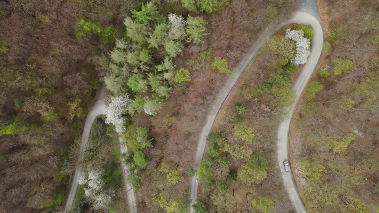 An aerial video of a winding forest road shows two cars navigating sharp curves surrounded by early spring foliage. White blossoming trees stand out among a mix of green and brown.