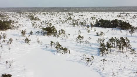 Aerial drone view of a snow-covered bog while it is snowing