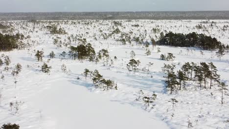 aerial drone view of a snow-covered bog while it is snowing