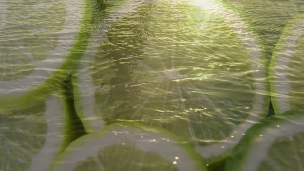 Sunlight reflecting on rippling water with sliced lime floating on surface