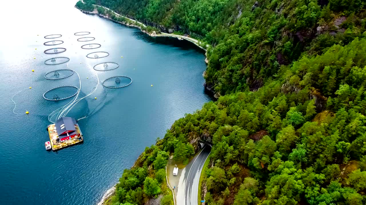 노르웨이에서 연어  ⁇ 시를 하는 공중 촬영