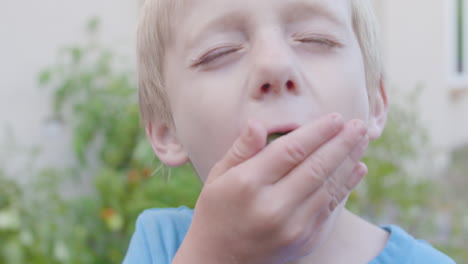 Little-boy-stuffing-a-handful-of-sour-grapes-into-his-mouth-in-slow-motion