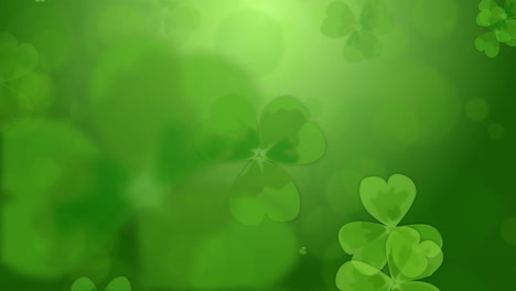 background with falling clover leaves. saint patrick day loop background. symbol of ireland, nature, summer. abstract animation with blurred elements. copy space.