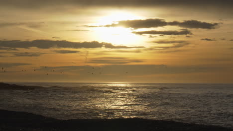 Pintoresca-Escena-De-La-Hora-Dorada-Con-Gaviotas-Volando-Sobre-Las-Brillantes-Olas-Del-Mar