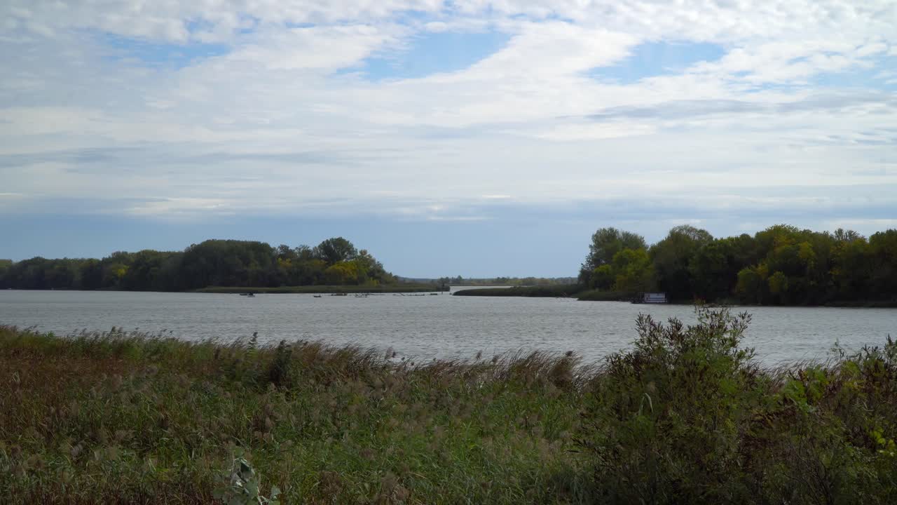 The diverse flora of Lake Tisza, divided by islands, with reed-lined shores and green forests on an autumn day in Kiskore, Hungary.