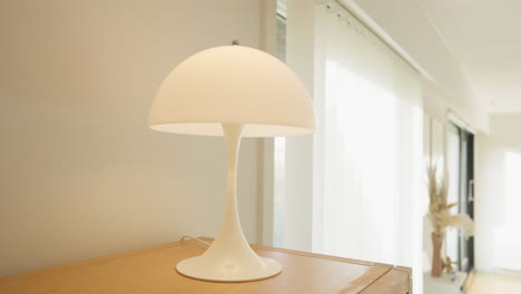 elegant white lamp on a wooden shelf with a green plant and gold decor