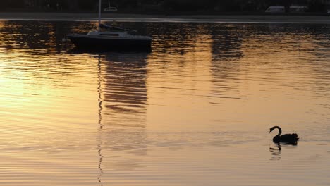 Reflexion-Des-Sonnenaufgangs-In-Der-Nähe-Des-Piers-Reflexion-Des-Wassers-Des-Sonnenaufgangs-In-Der-Nähe-Des-Piers-Von-St.-Kilda