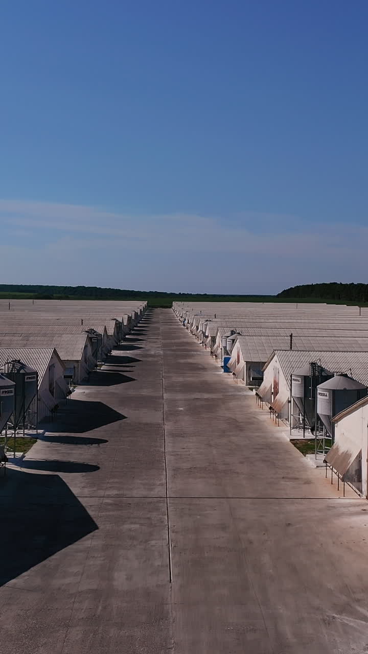 Large silver granary. Modern grain elevators. Metal industrial silos for agribusiness. Vertical video