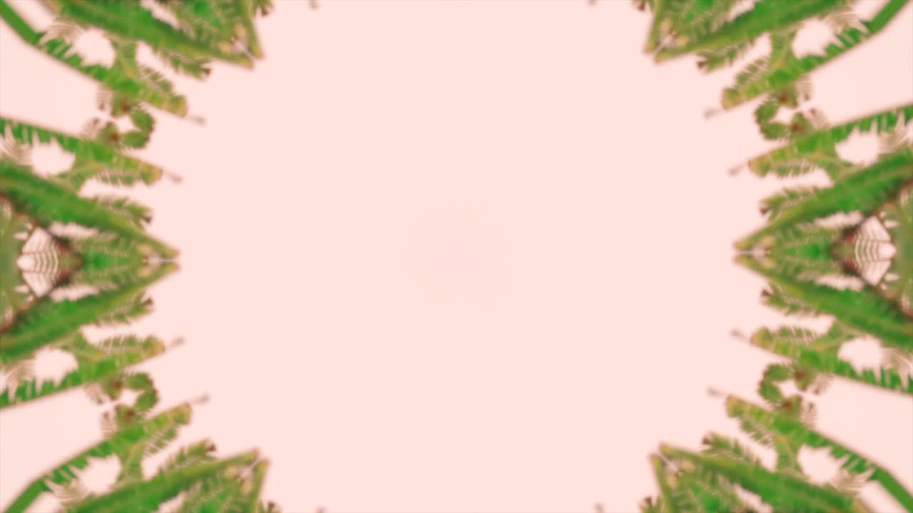 hojas de árboles caleidoscopio vista de pájaro