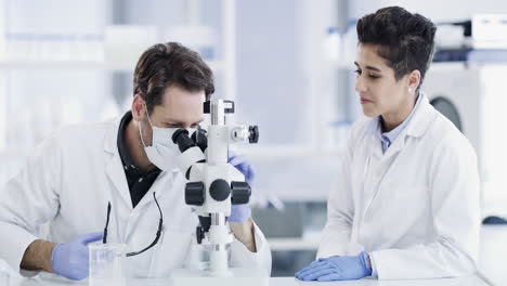 dos científicos teniendo una discusión mientras trabajan
