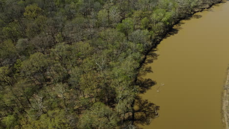 Hatchie-And-Mississippi-Rivers-Confluence-In-Lower-Hatchie-National-Wildlife-Refuge,-Tennessee,-USA