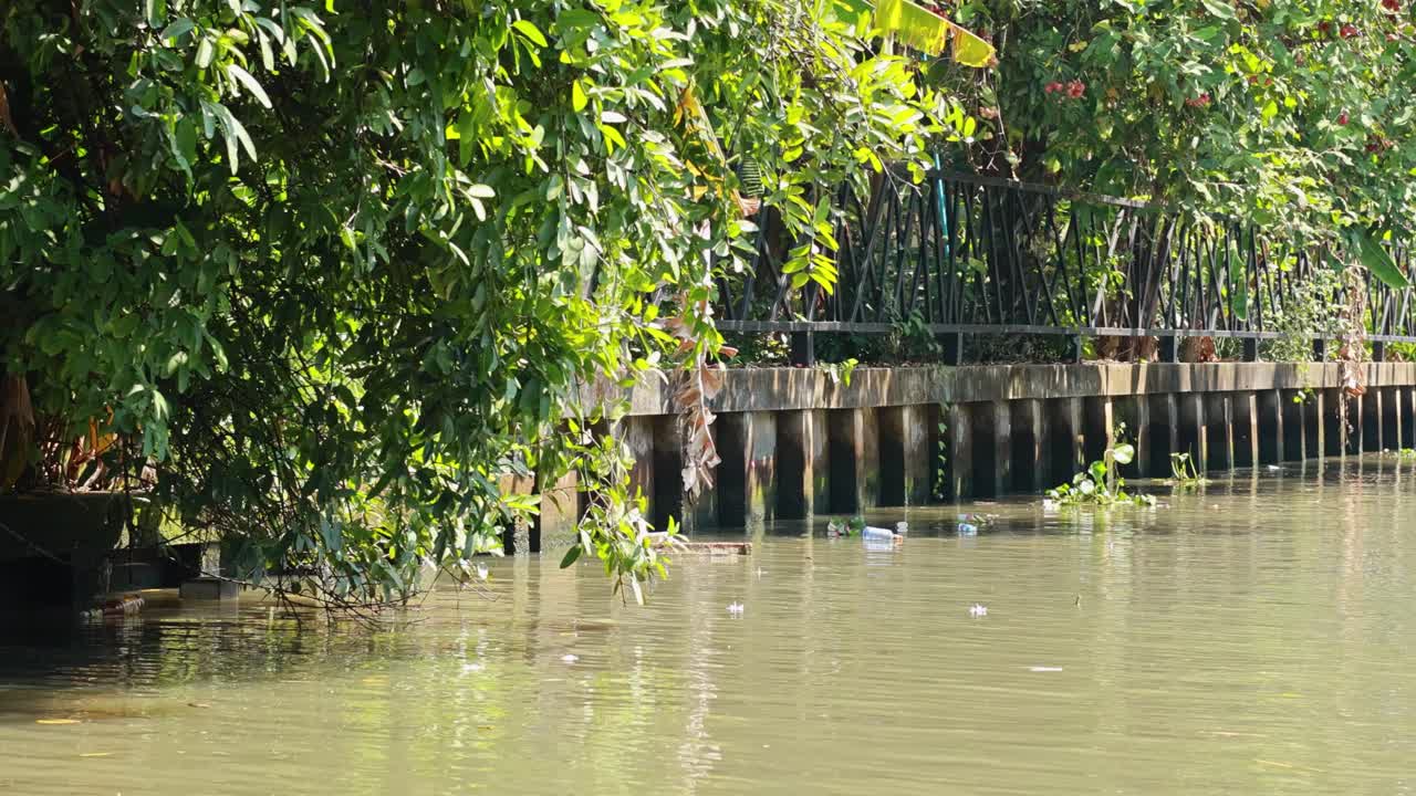 A longtail boat navigates a lush canal in Bangkok, Thailand, showcasing vibrant greenery and dynamic water movement