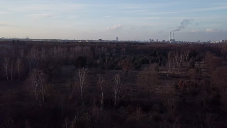 drone flying backward above a park in berlin heading towards the skyline