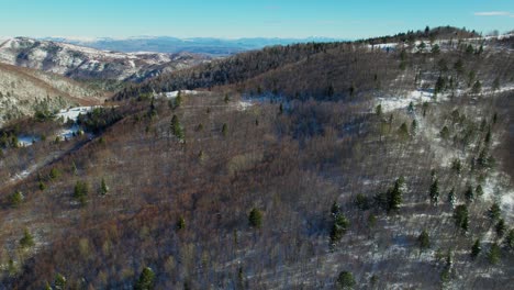 Winterlich-Frostige,-Schneebedeckte-Berge-Mit-Blattlosen-Bäumen,-Die-In-Stiller-Majestät-Unter-Dem-Eisigen-Blätterdach-Stehen