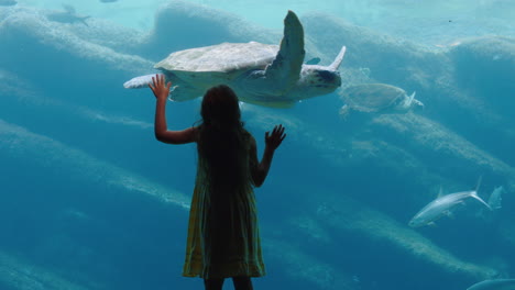 little girl at aquarium watching sea turtle swimming in tank curious child having fun watching fish swimming kid looking at marine life in oceanarium aquatic habitat