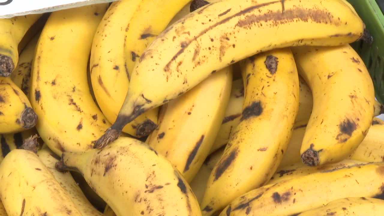 바나나  ⁇ 어리