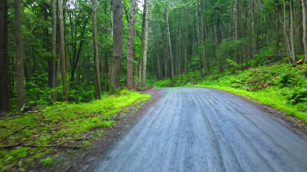 Drone video footage of a remote pine forest road in the Appalachian mountains. This is in New York's Hudson Valley during summer in the Catskill Mountains.