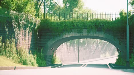 arch bridge with living bush branches in park