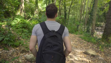 young man in nature is walking in the forest.