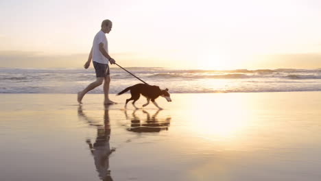 man walking dog on a beach at sunrise