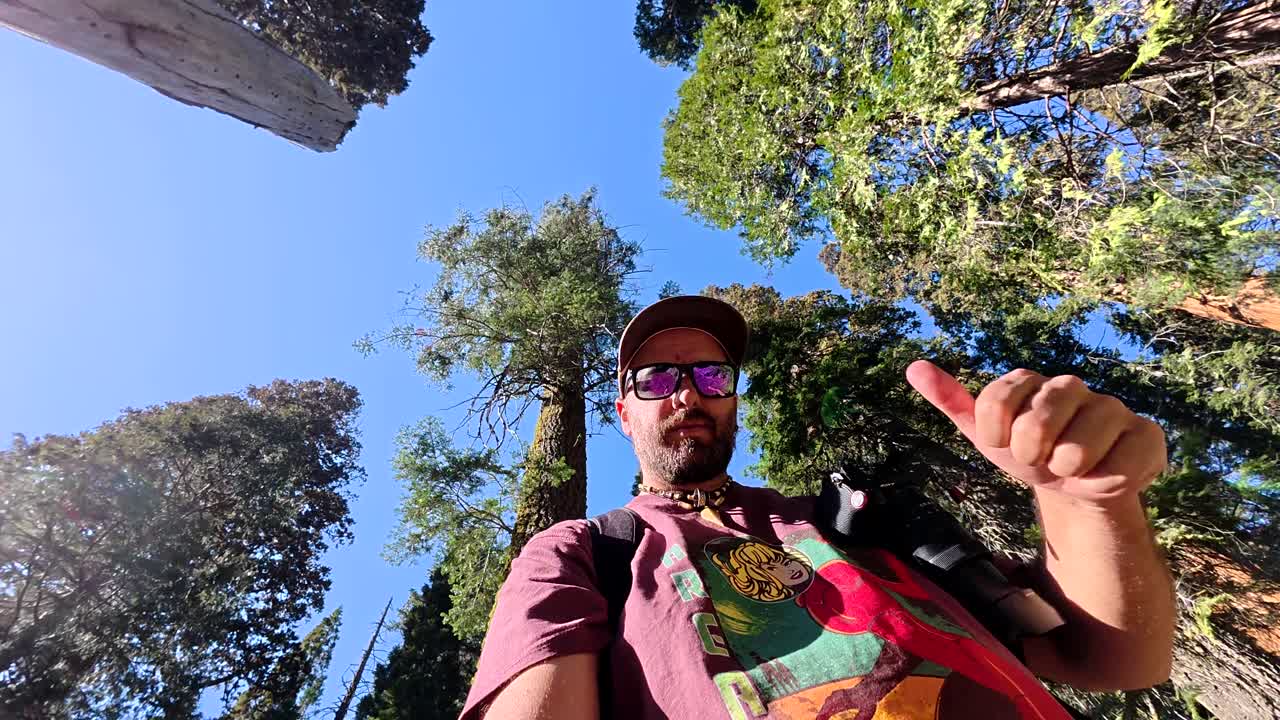 Fotografo che si scatta un selfie in una foresta soleggiata.
